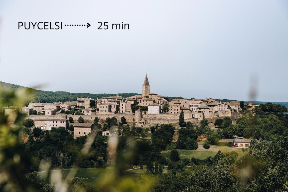 Jolie Maison - Calme - Jardin - Gaillac Bagian luar foto
